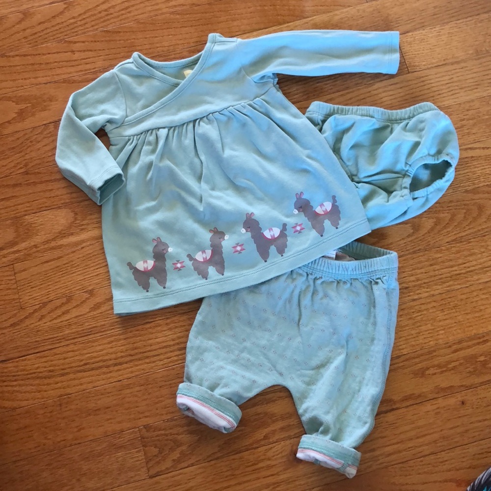 Tea Collection 3 piece Set - 3-6 Months